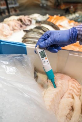 Стартовый комплект testo 206-pH2