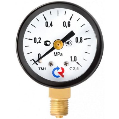 Манометр ТМ-110Р с поверкой, с поверкой